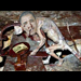 Obama Disgusting Vermin